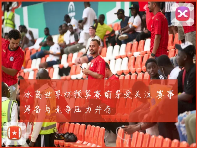 冰岛世界杯预算赛前景受关注 赛事筹备与竞争压力并存