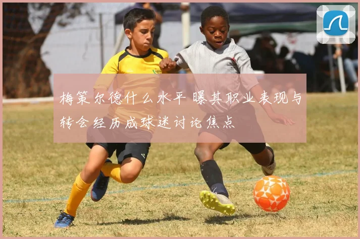 梅策尔德什么水平 曝其职业表现与转会经历成球迷讨论焦点