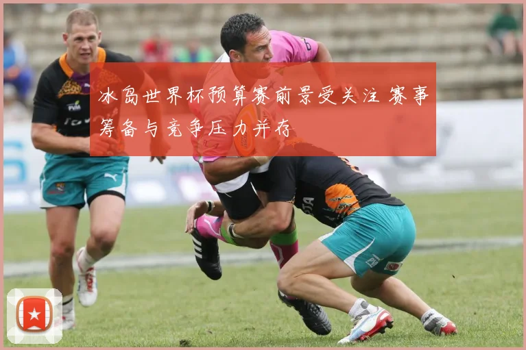 冰岛世界杯预算赛前景受关注 赛事筹备与竞争压力并存
