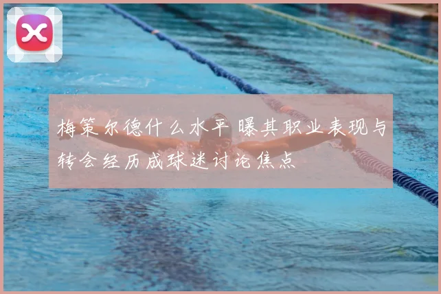 梅策尔德什么水平 曝其职业表现与转会经历成球迷讨论焦点
