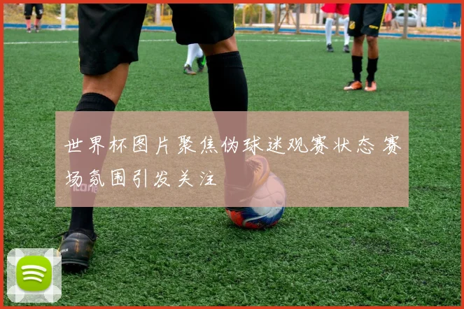 世界杯图片聚焦伪球迷观赛状态 赛场氛围引发关注