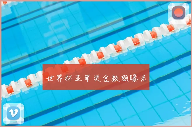 世界杯亚军奖金数额曝光