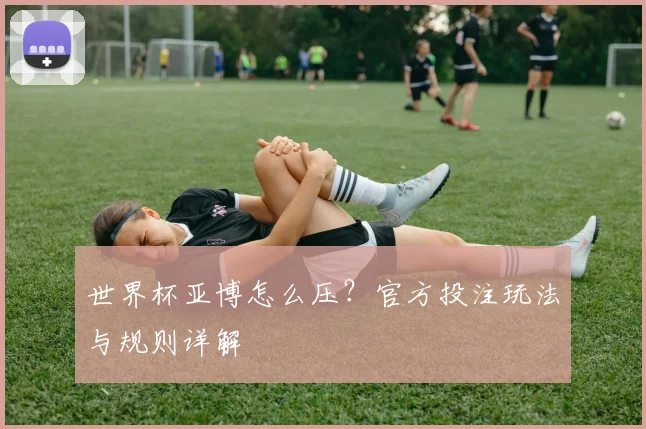 世界杯亚博怎么压？官方投注玩法与规则详解