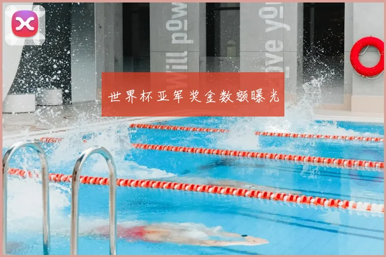 世界杯亚军奖金数额曝光