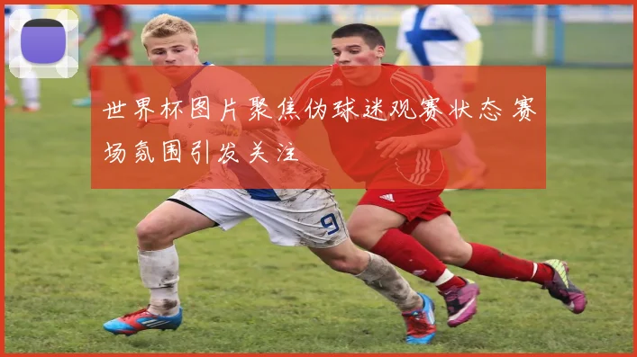 世界杯图片聚焦伪球迷观赛状态 赛场氛围引发关注