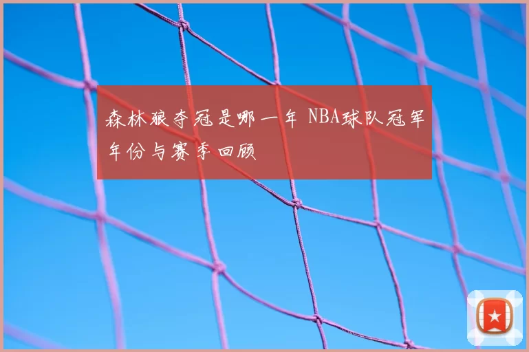 森林狼夺冠是哪一年 NBA球队冠军年份与赛季回顾