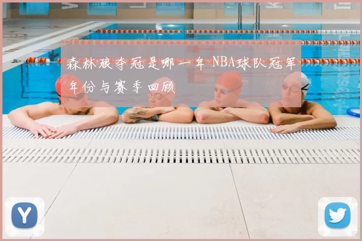 森林狼夺冠是哪一年 NBA球队冠军年份与赛季回顾
