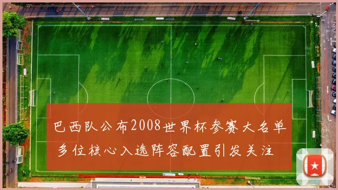 巴西队公布2008世界杯参赛大名单 多位核心入选阵容配置引发关注